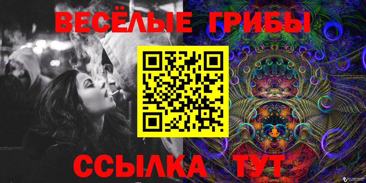 Псилоцибиновые грибы Cubensis  где купить наркоту  Красноармейск  Вход с VPN 